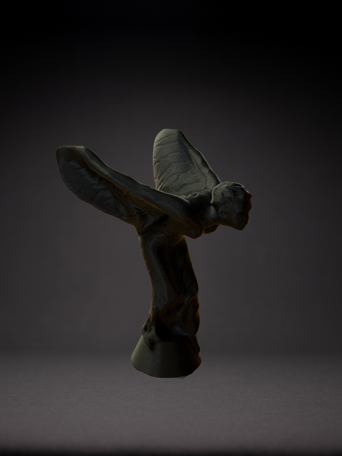 Aero Spirit – 3D-gedruckte Figur, Detailansicht